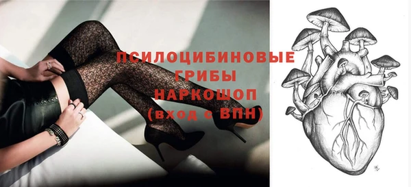 прущие крисы Балахна