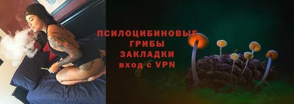 прущие крисы Балахна