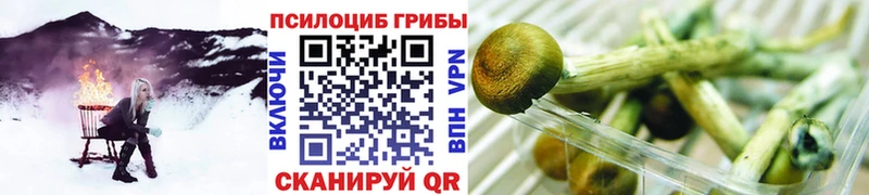 Псилоцибиновые грибы мицелий  Тырныауз 